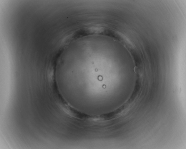 X0000115560745200911131626