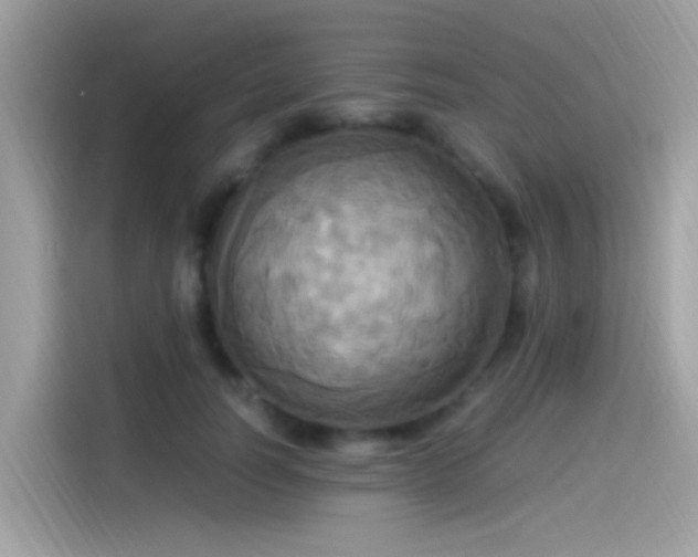 X0000115560746200911131626