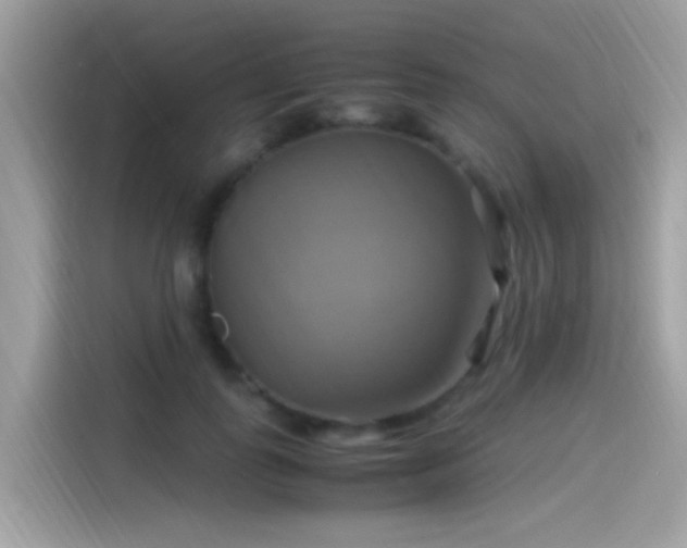X0000115560747200911131626