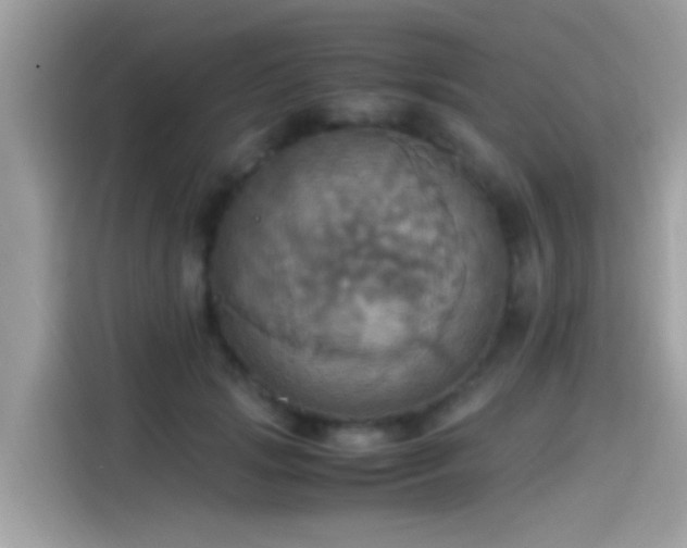 X0000115560749200911131626