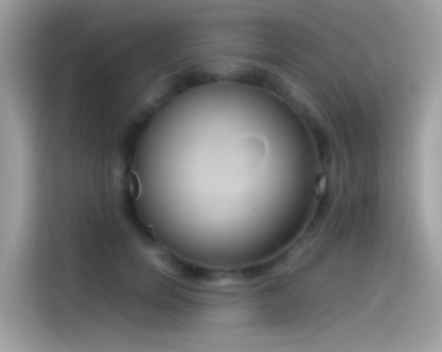 X0000115560750200911131627