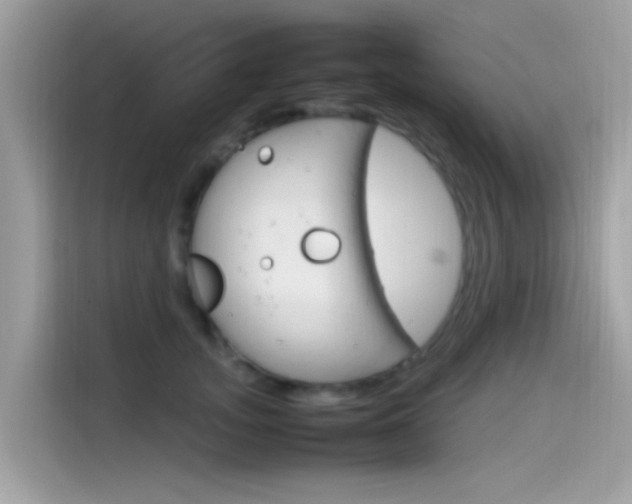 X0000115560755200911131627