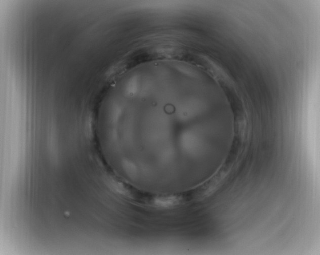 X0000115560757200911131627