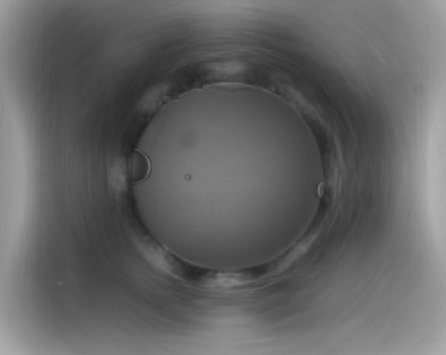 X0000115560758200911131627