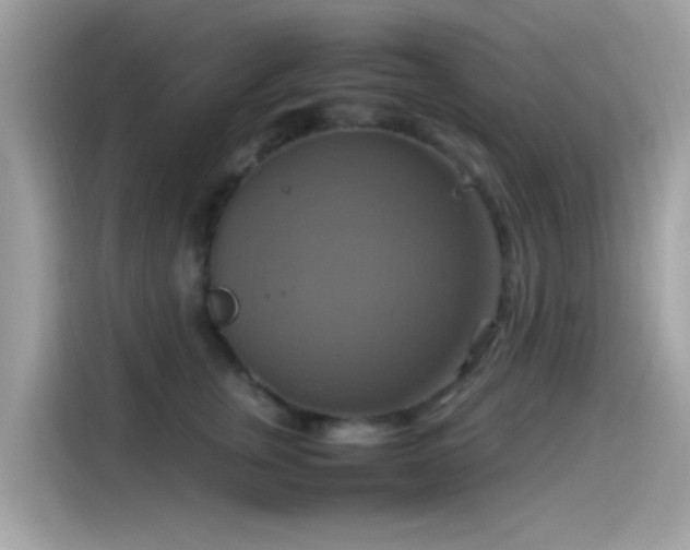 X0000115560759200911131627
