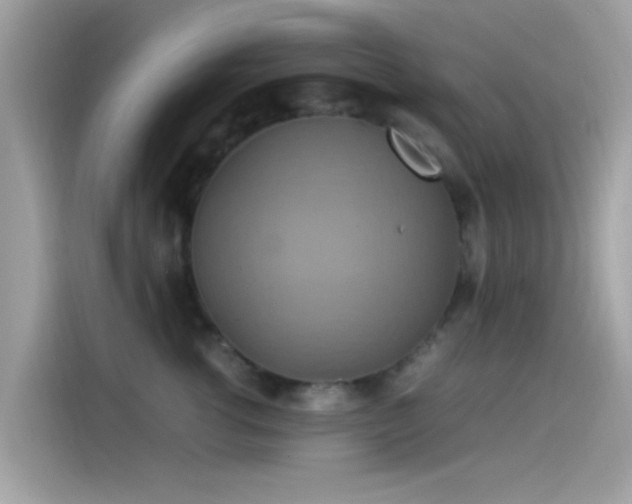 X0000115560762200911131627