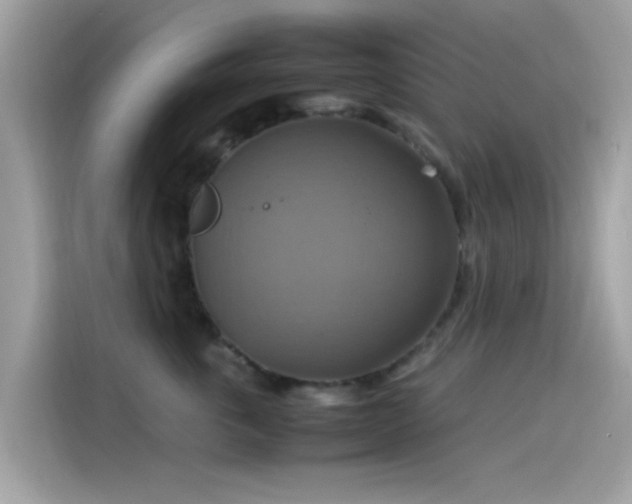 X0000115560763200911131627