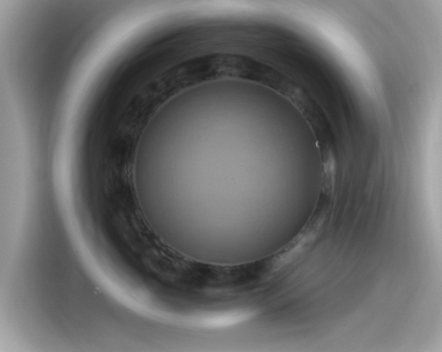 X0000115560765200911131627