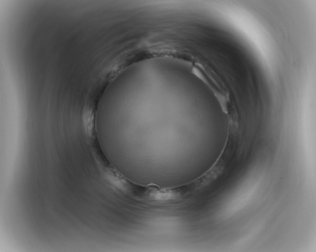 X0000115560767200911131627