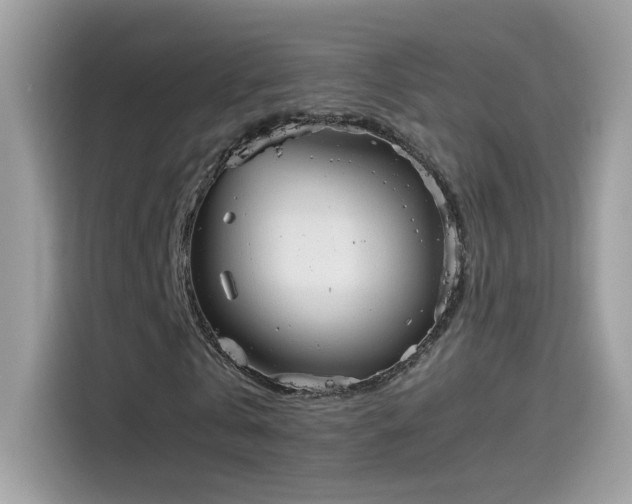 X0000115560769200911131626