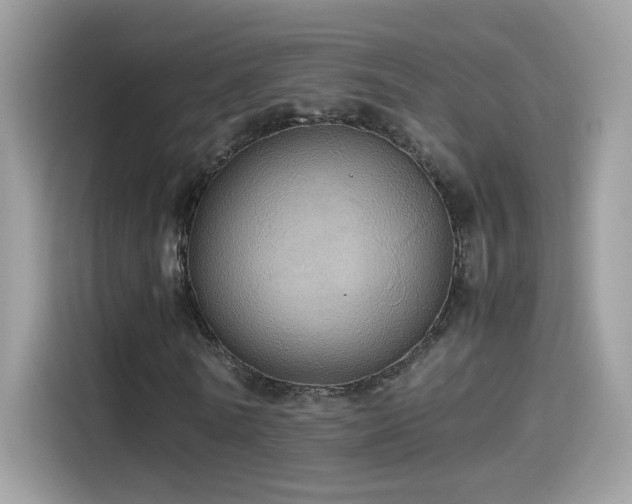 X0000115560770200911131626
