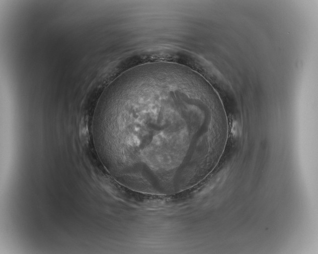 X0000115560771200911131626