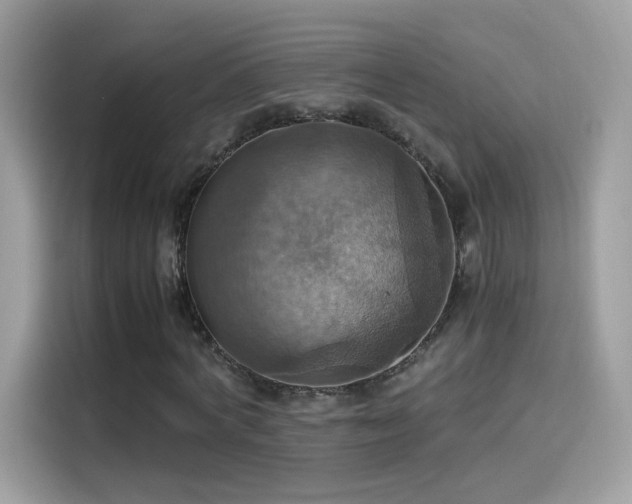 X0000115560772200911131626
