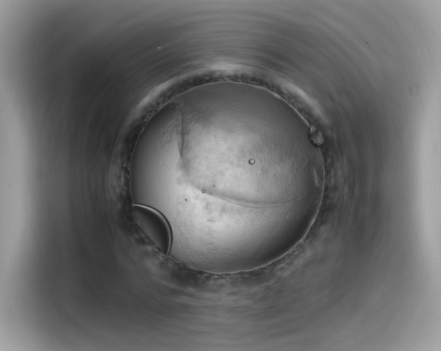 X0000115560776200911131626