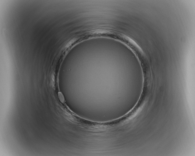 X0000115560777200911131626