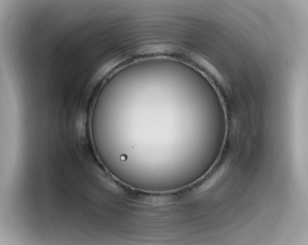 X0000115560778200911131626