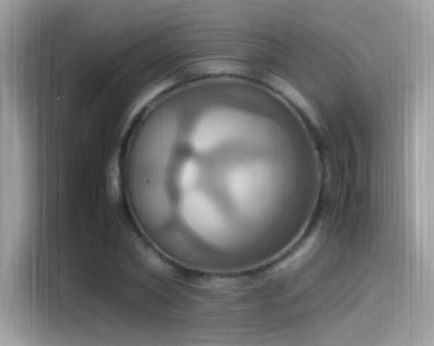 X0000115560782200911131626