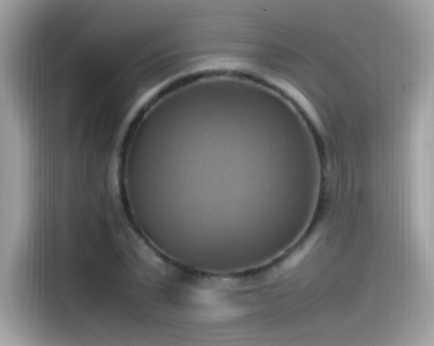 X0000115560783200911131626