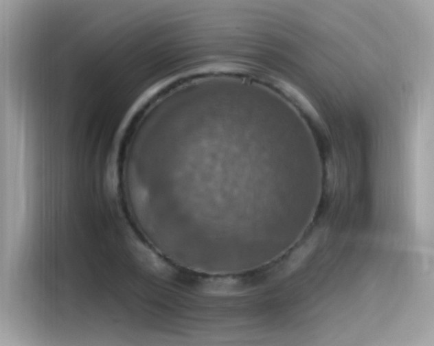 X0000115560784200911131626