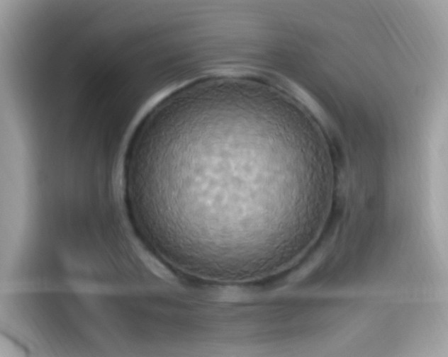 X0000115560787200911131626