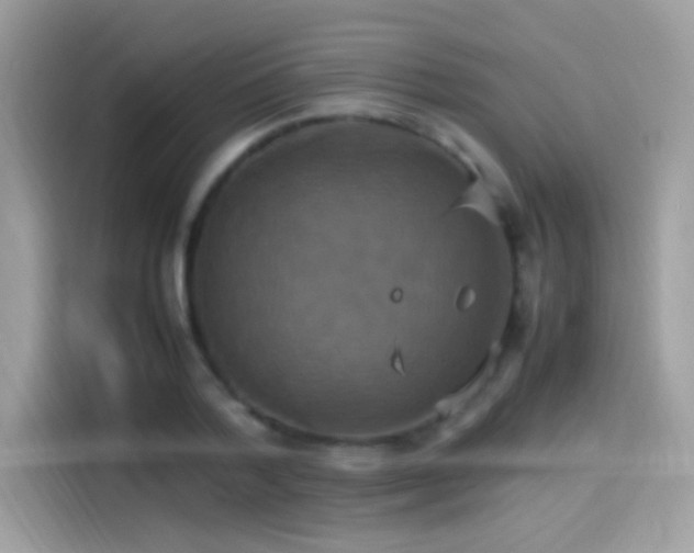 X0000115560788200911131626