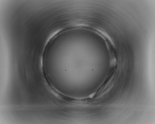 X0000115560790200911131626
