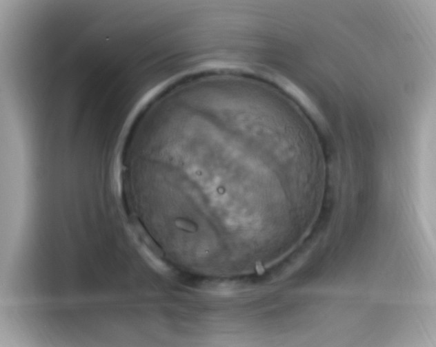X0000115560791200911131626