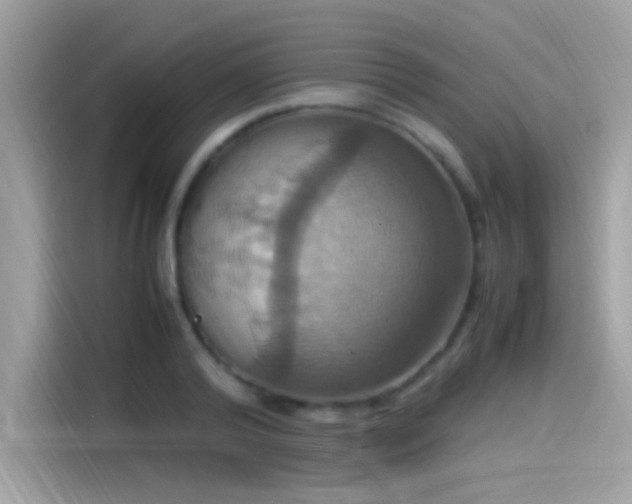 X0000115560792200911131626
