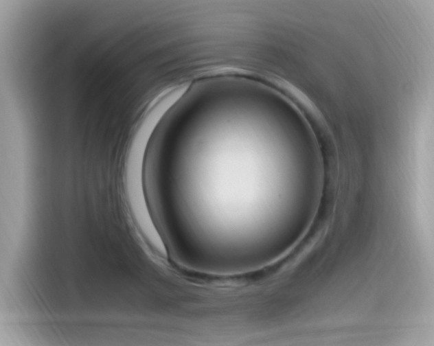 X0000115560793200911131626