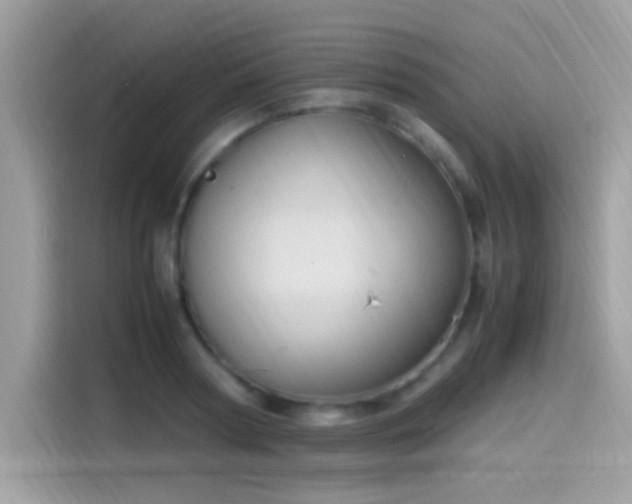X0000115560794200911131626