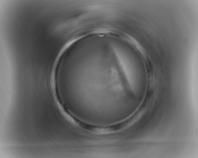 X0000115560795200911131626