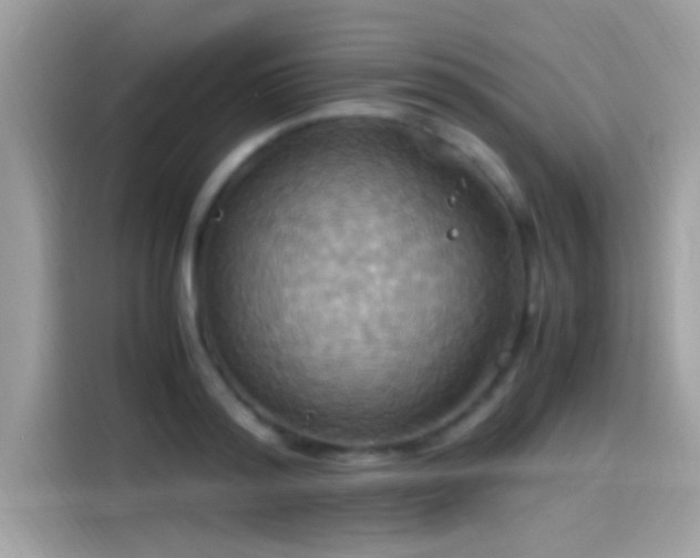 X0000115560796200911131626