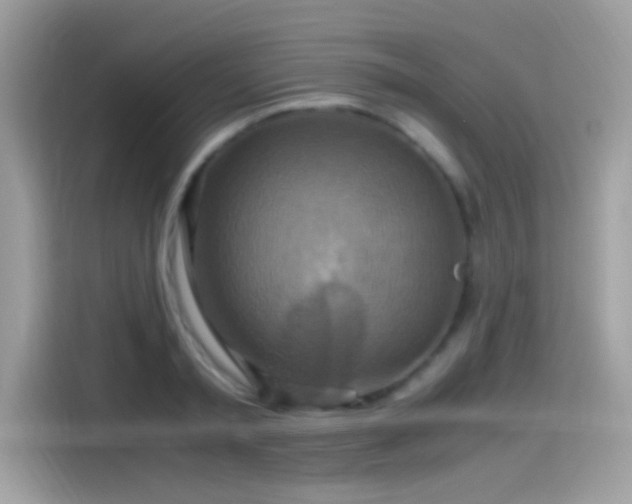 X0000115560797200911131626