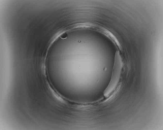 X0000115560802200911131626