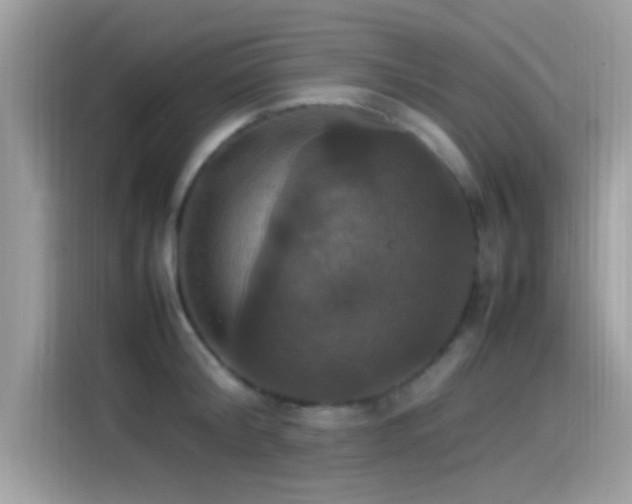 X0000115560804200911131626