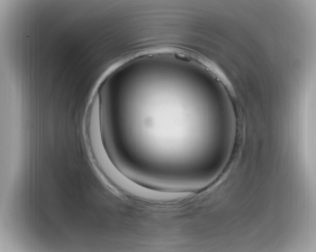 X0000115560805200911131626