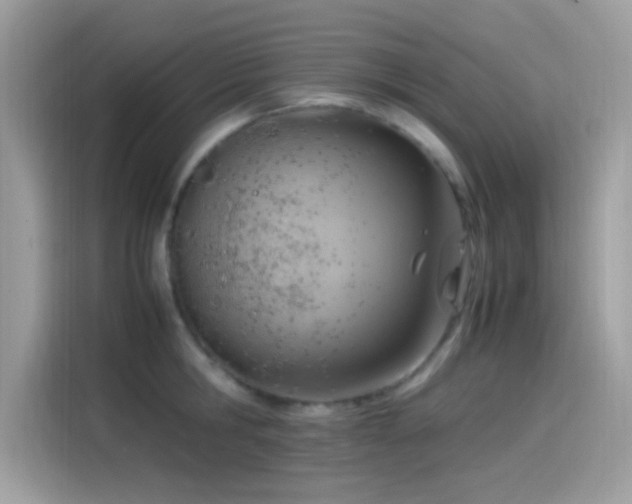 X0000115560806200911131626