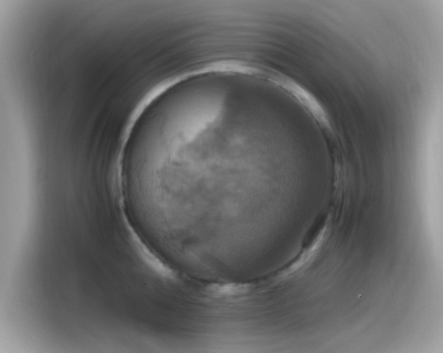X0000115560808200911131626