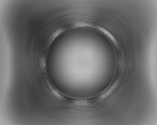 X0000115560809200911131626