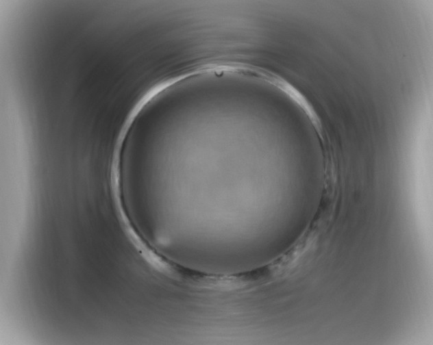 X0000115560811200911131626