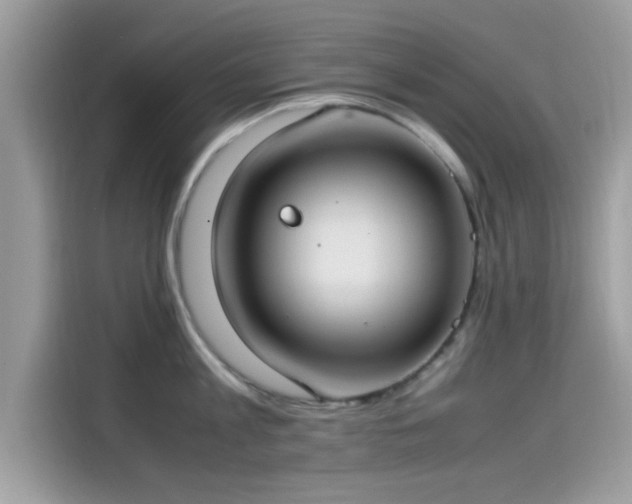 X0000115560813200911131626
