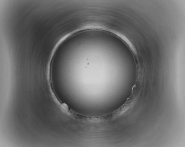 X0000115560815200911131626
