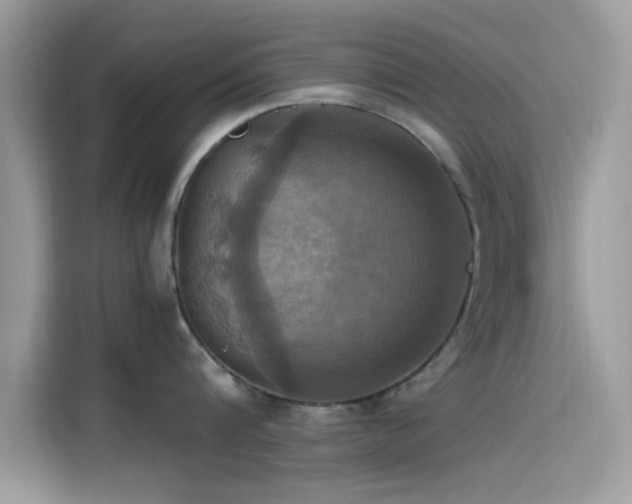 X0000115560816200911131626