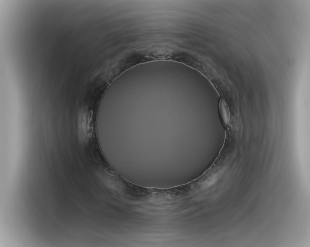 X0000115560818200911131625