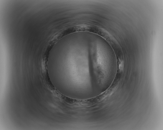 X0000115560819200911131625