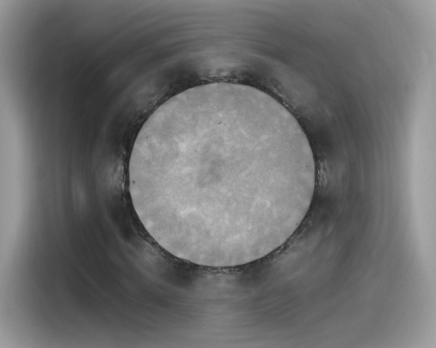 X0000115560820200911131625