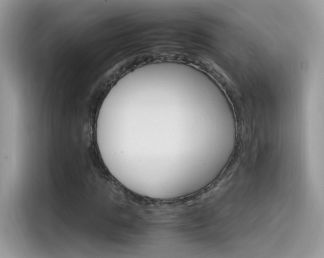X0000115560821200911131625