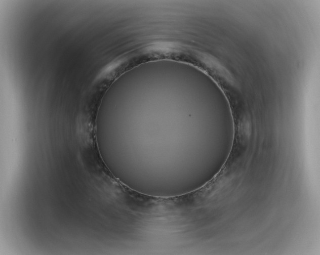 X0000115560822200911131625