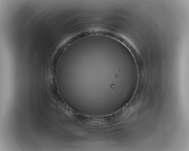 X0000115560823200911131625