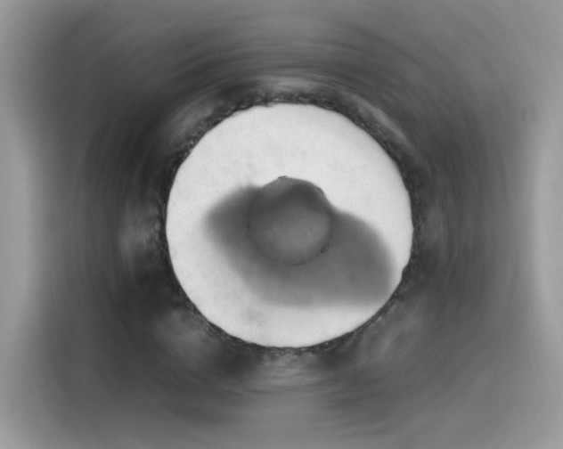 X0000115560824200911131625